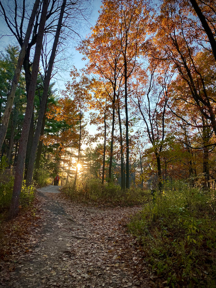 Ann Arbor Arboretum