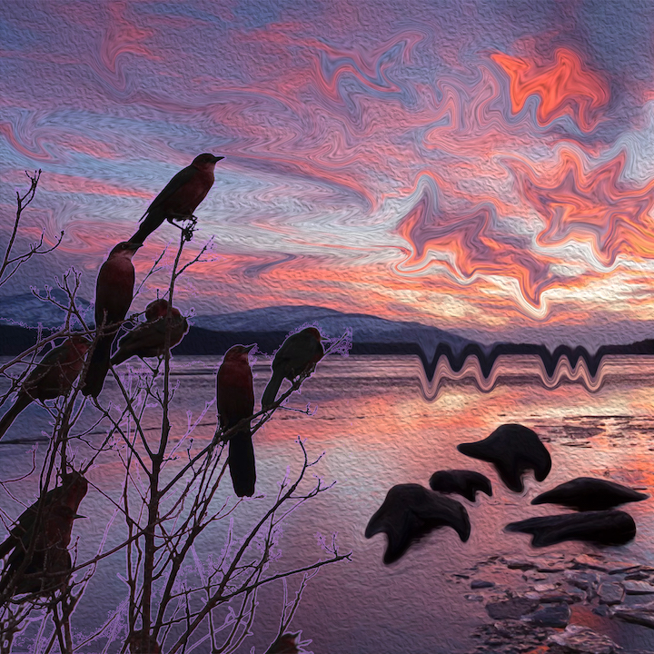 Birds in trees