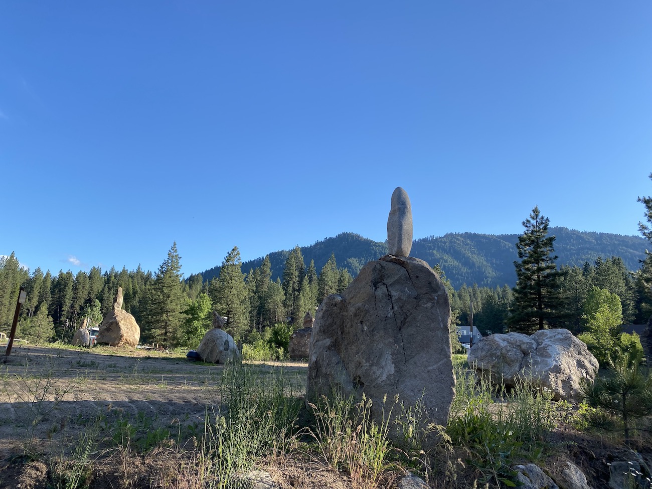 Candlestick garden