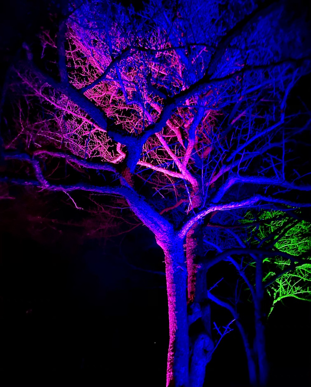 Chicago Botanical Gardens
