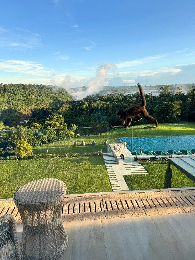 Monkey on a balcony overlooking waterfalls