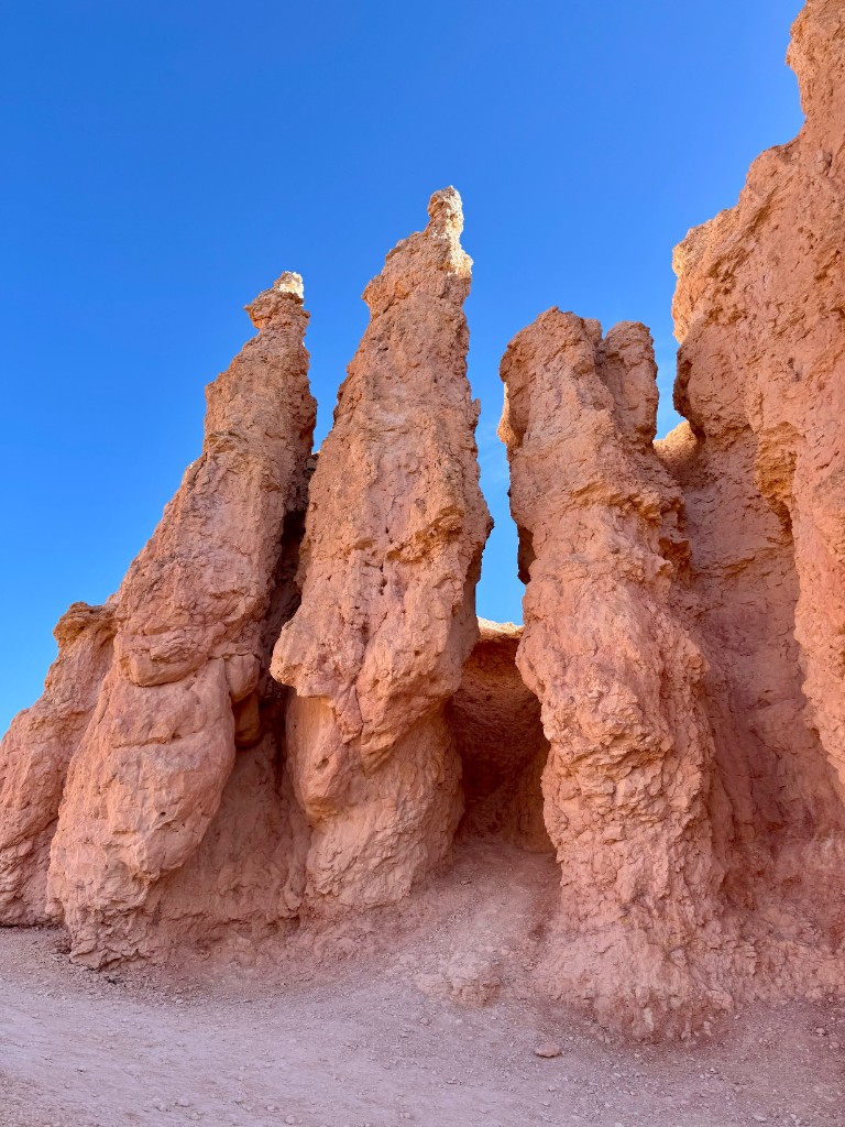Orange hoodoos at Bryce Canyon