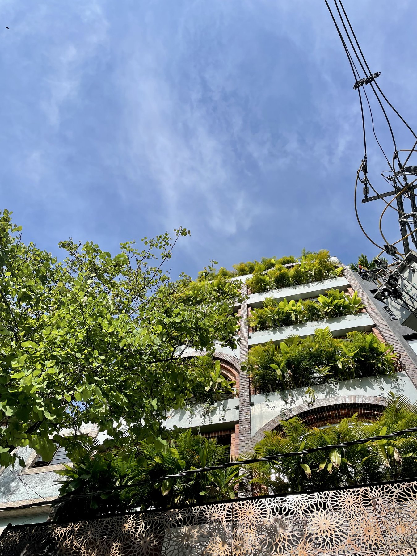 Building covered in tropical greenery