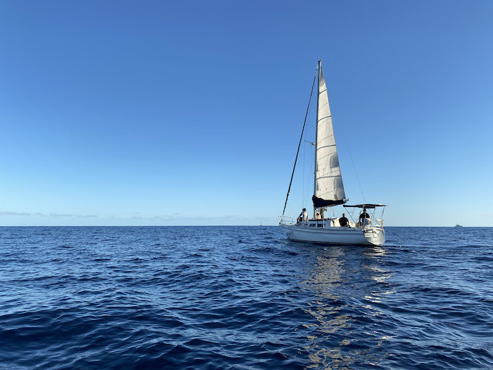 Sailboat on the water