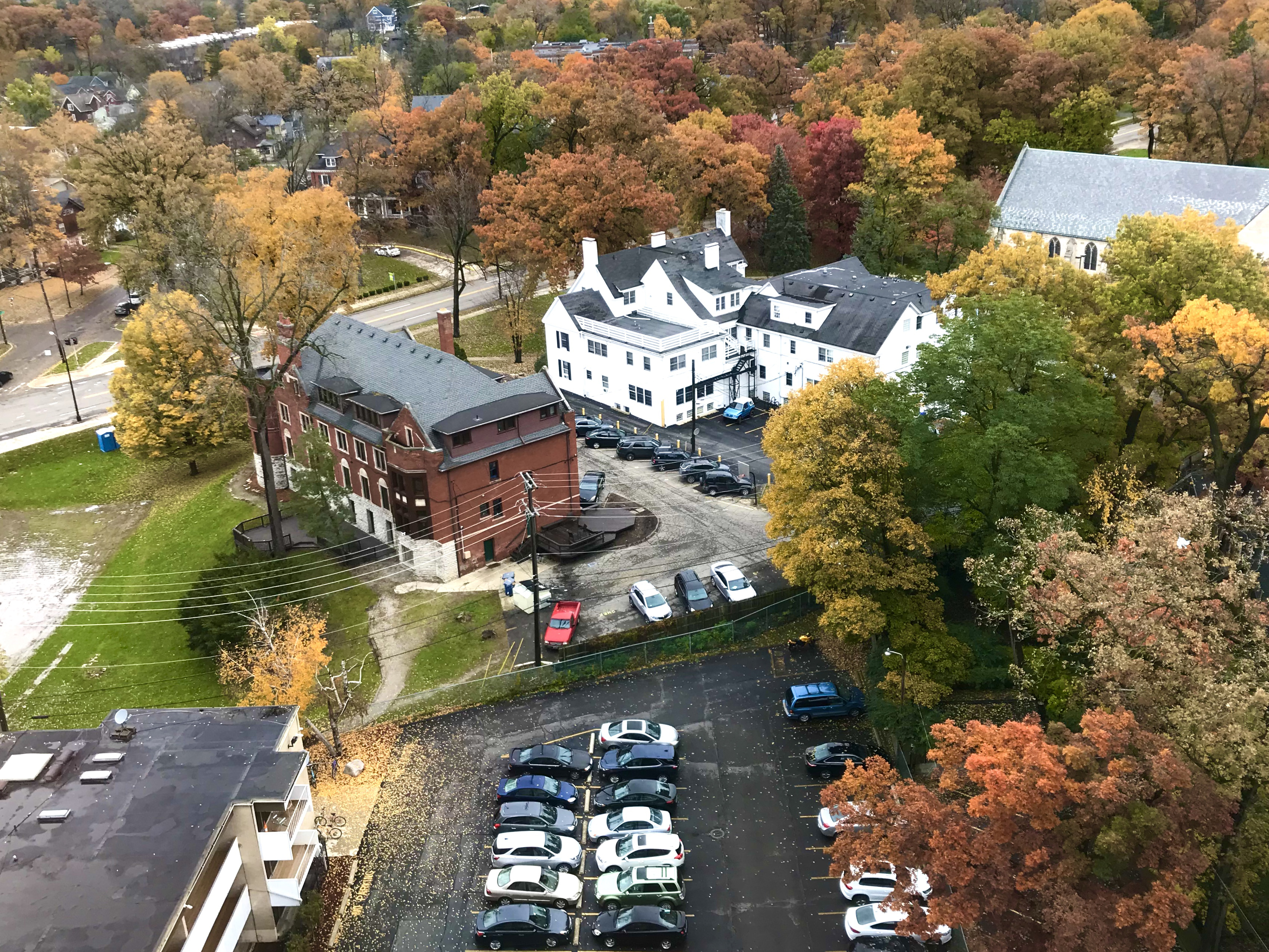 Autumn leaves in Ann Arbor