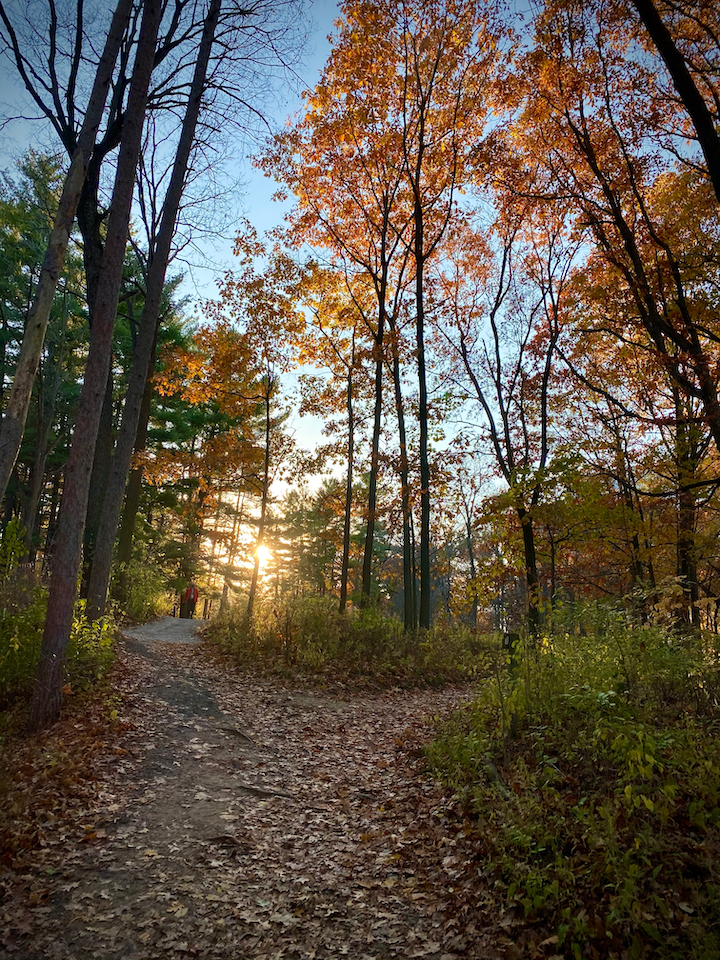 Walking down the trail in the arb