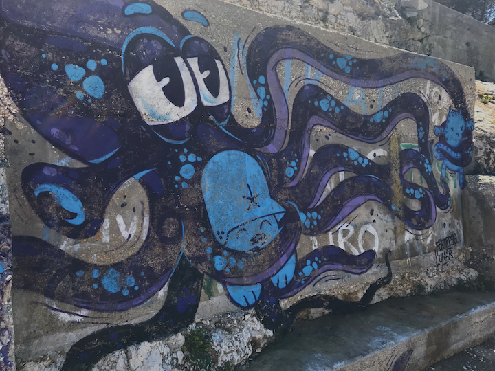 I liked this octopus graffiti, can't remember where...